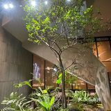 今日打卡餐厅推荐