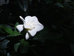 -春庄咖啡SpringHues(钟楼小区店)
