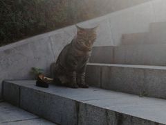 -伯先公园