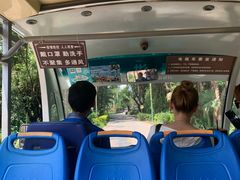 -西双版纳傣族园