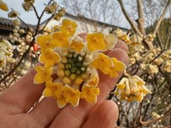 -雅达·阳羡溪山小镇中心