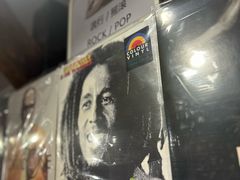 -树懒黑胶唱片店(中山路店)