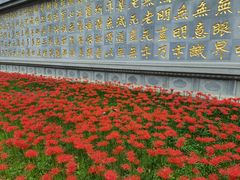 -西安大兴善寺