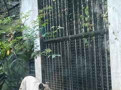 -杭州植物园