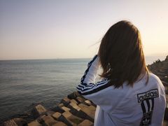 -八大关景区