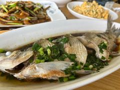 清蒸白鱼-宾湖农庄·农场特色(太湖龙之梦店)
