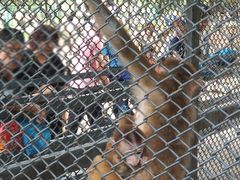 -长白岛森林公园