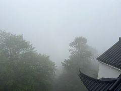 -九华山聚龙大酒店