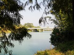 -广州市流溪河国家森林公园