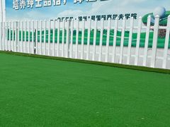 -锦州鱼乐贝贝儿童游泳