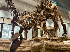 -自贡恐龙博物馆
