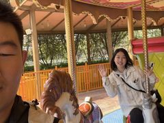 -郑州方特梦幻王国