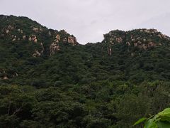 -大岭沟猕猴桃谷风景区