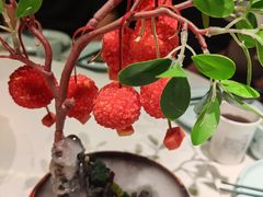 -奔跑吧陕菜·盛世长安(民乐园万达店)