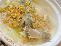 -樽宴酒楼·地道川菜·品质聚会·生日宴请