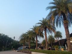 -清迈夜间动物园