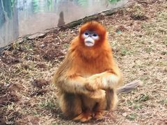 -西安秦岭野生动物园