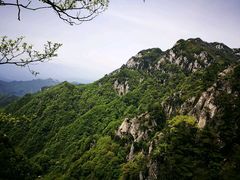 -王顺山国家森林公园