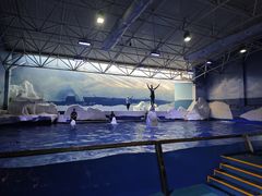 -秦皇岛乐岛海洋王国