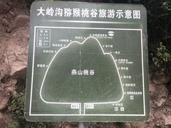 -大岭沟猕猴桃谷风景区