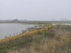 -天津东丽湖风景区