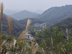 -桃花岭景区