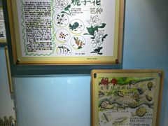 -上海昆虫博物馆