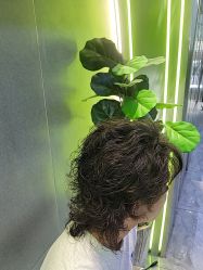 -不迫先生专业男士剪发