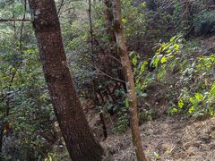 -苍山感通索道