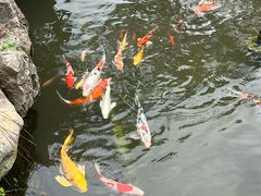 -碧丽宫大酒店(召稼楼店)