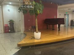 -云中小雅