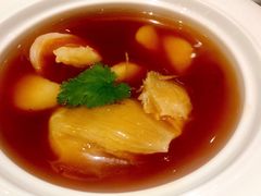-海王老记