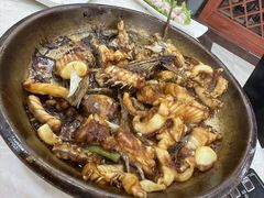 -源港渔村-中山脆肉鲩(博罗店)