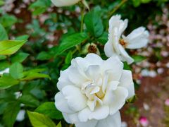 -人民公园(罗湖区)