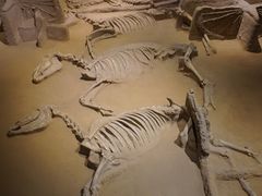 -洛阳周王城天子驾六博物馆