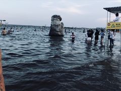 -碧海金沙