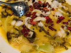 撒椒酸菜鱼-撒椒·四川江湖菜(大族广场店)