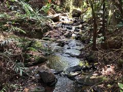 -滴水岩森林公园