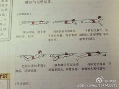-小海豚国际游泳培训中心(浦东源深体育中心店)