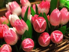 -阿姆斯特丹史基浦机场