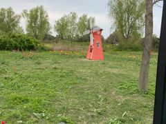 -泗洪洪泽湖湿地景区