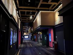 -万达影城(闵行颛桥万达广场杜比影院店)