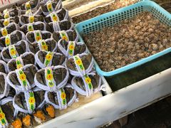 -南沙十九涌渔人码头-南门