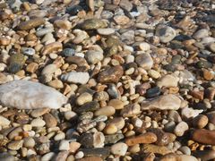 -棒棰岛宾馆景区