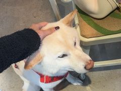 -微焙咖啡工厂(海峡创意产业园·红坊店)