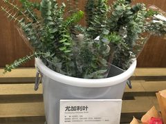 -鹿岛会员店 (龙湖三千集天街店)