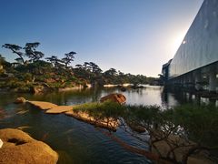 -罗红摄影艺术馆