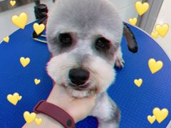 -佳雯宠物医院(金华南路分院)