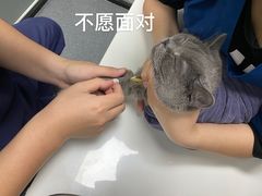 -伟伟宠物医院·CT影像中心·瑞派犬猫综合性门诊(汉口总院)