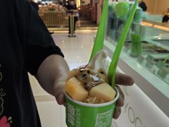 -Salud撒露欧洲冻酸奶(五道口购物中心店)